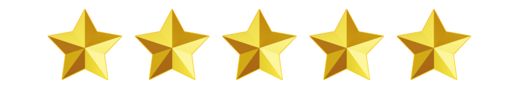 5 estrelas ornamento