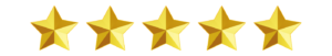 5 estrelas ornamento